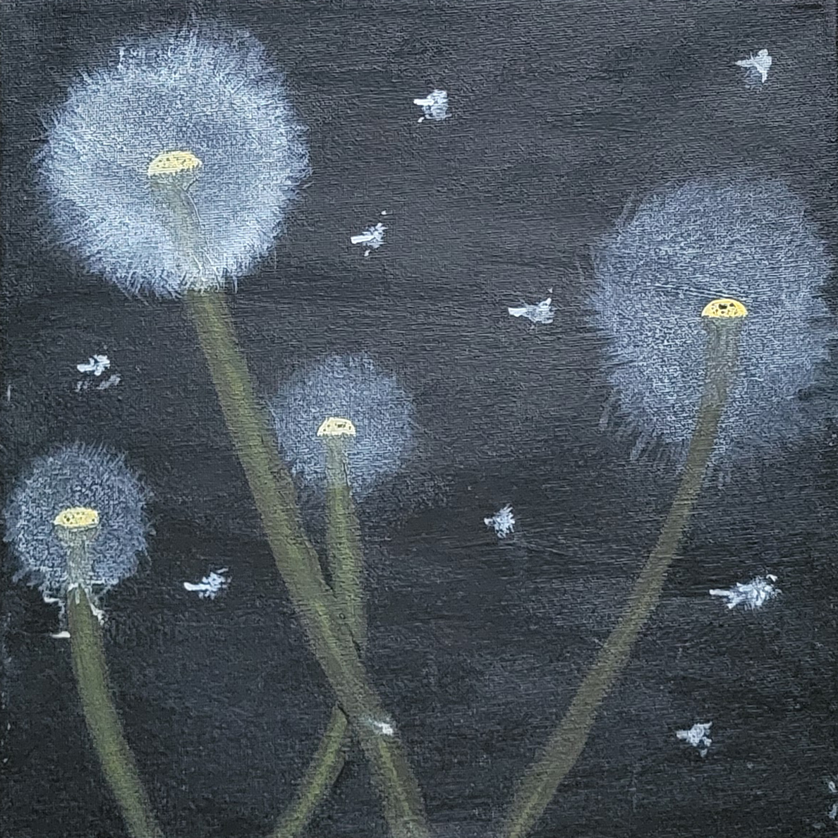 Dandelions